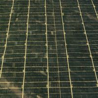 Una de las zonas más áridas de China está reverdeciendo. El motivo: un planta con siete millones de paneles solares