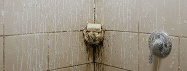 Cuál es la forma de limpiar los restos de jabón acumulados en los azulejos del baño fácil con una mezcla casera
