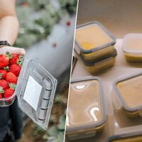 La siguiente evolución de los tuppers son los envases orgánicos. El motivo es muy sencillo: disruptores endocrinos