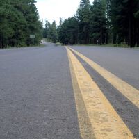 Un derrame de alquitrán en 1901 inspiró lo que hoy conocemos como asfalto y transformó las carreteras para siempre 