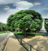 Jardines de París 