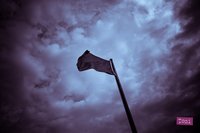 Los productos no tienen bandera