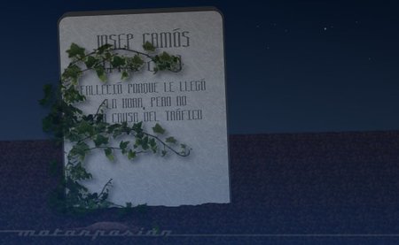 fauna en ruta: deseos para 2012