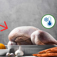 Cuánto tiempo antes puedo comprar el pavo para Navidad y cuánto tiempo dura en el refrigerador 