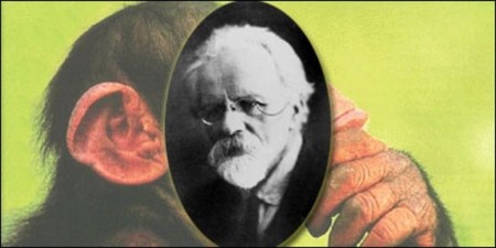 Seis experimentos científicios carentes de ética: hombre mono, sexo y drogas, cadáveres electrocutados...