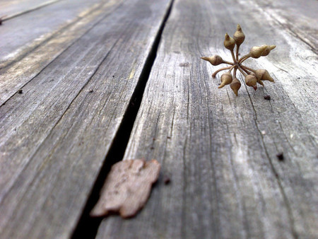 Fotos con el Nokia N95
