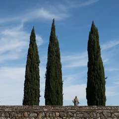 Foto 9 de 17 de la galería canon-powershot-g9x-mark-ii en Xataka Foto