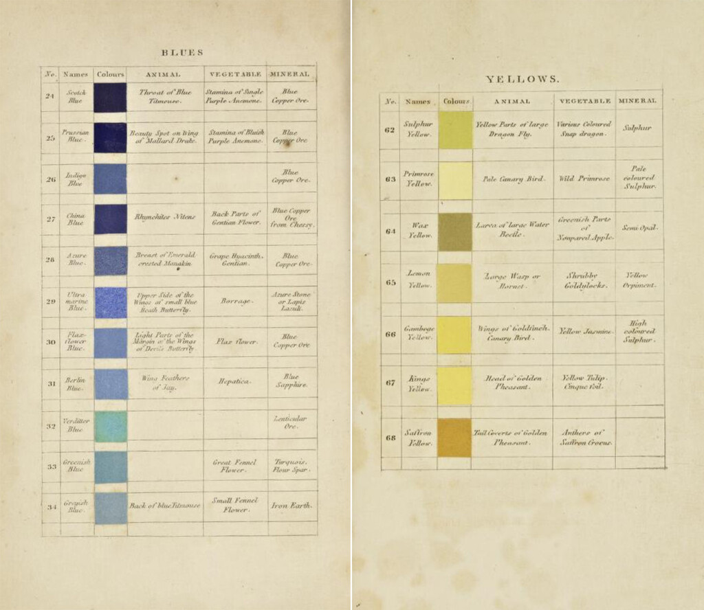 El color antes de Pantone: la guía que utilizó Darwin para nombrar los ...