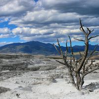 Un matemático ha echado cuentas y ha llegado a una conclusión: la vida no debería existir