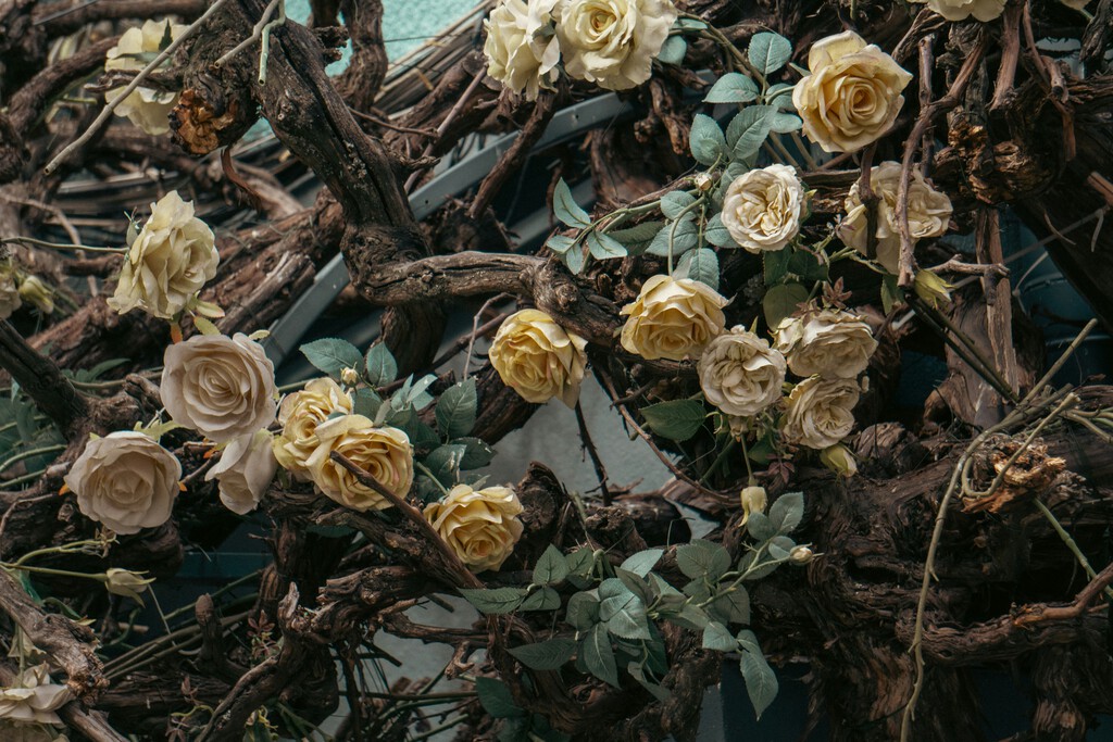 Estas son las cinco plantas que tienes que podar en el mes de diciembre antes de que sea tarde 