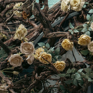 Cinco plantas que hay que podar en diciembre para tener un jardín espectacular en primavera 