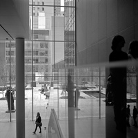 Grandes museos: el MoMa en Nueva York