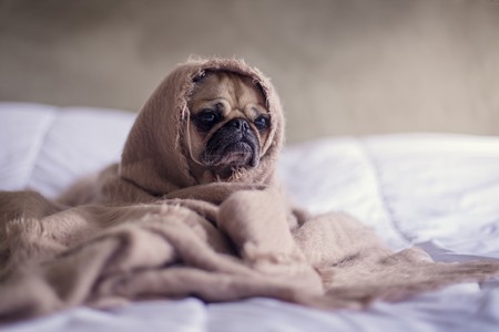 Cuántas horas necesitas dormir, dependiendo de tu edad, para conseguir un descanso reparador