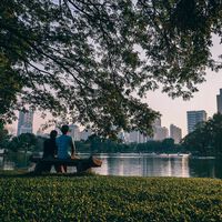 Menos asfalto y más árboles en las ciudades alargaría la esperanza de vida. Pero tenemos muy pocas zonas verdes