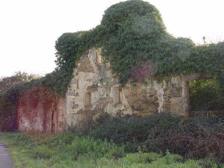 Dsc07857