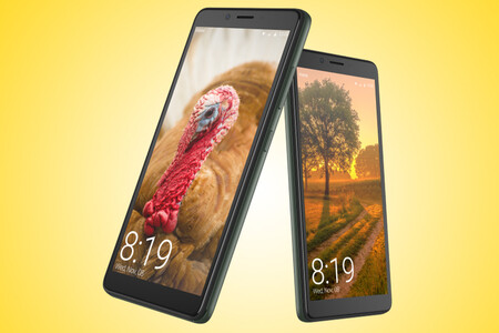 Vsmart Bee Lite es el smartphone con Android Go más barato: cuesta 22 euros al cambio