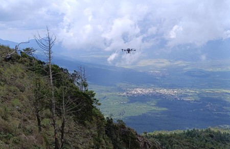 Whatsapp Image 2025 08 01 At 9 43 17 Am 2