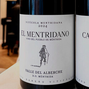 Un tinto con 92 puntos Parker que viene directamente desde el Valle del Alberche y nos presenta una garnacha nunca vista 