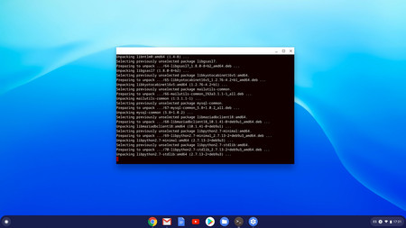 Chromeos Linux 14