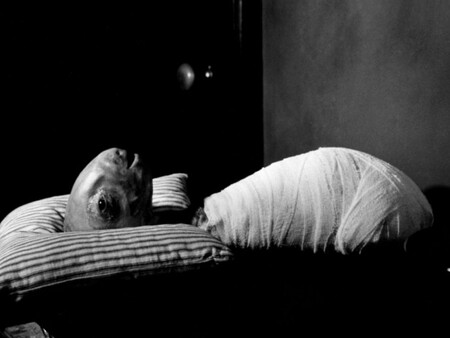 Eraserhead 1108x0 C Default
