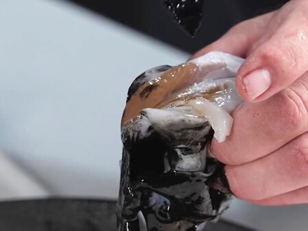 La Melsa De Un Choco C Angel Leon Ohgar