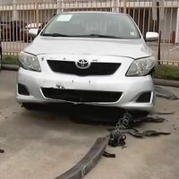 Arrestan a unos perros vandálicos obsesionados con los paragolpes. Hicieron un agujero de 350.000 dólares en las cuentas de un concesionario 