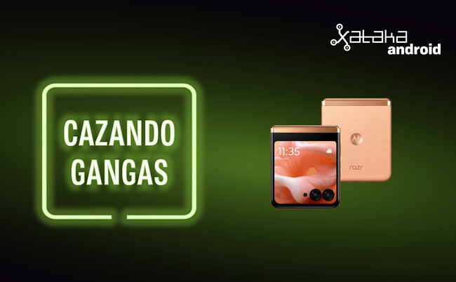 Cazando Gangas