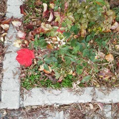 Foto 39 de 39 de la galería fotos-tomadas-con-el-nokia-2-1 en Xataka Móvil