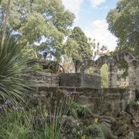 El Jardin des Plantes de Montpellier, o cómo visitar 2.000 especies de plantas 