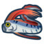 Oar fish