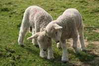 Cómo batir a tu competencia 