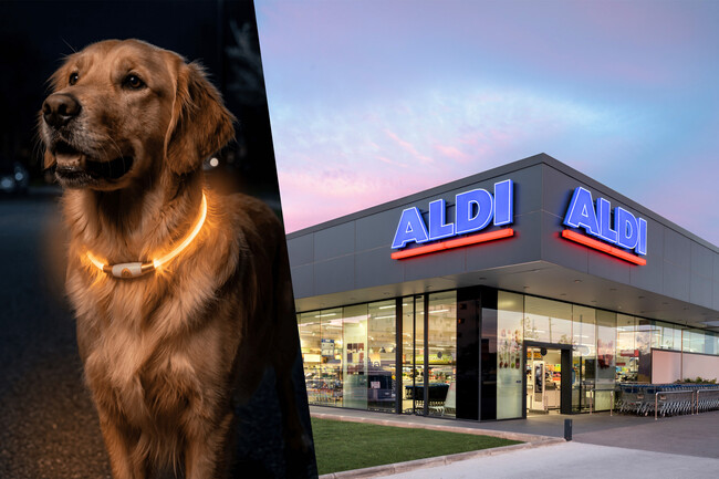 Aldi Mascotas