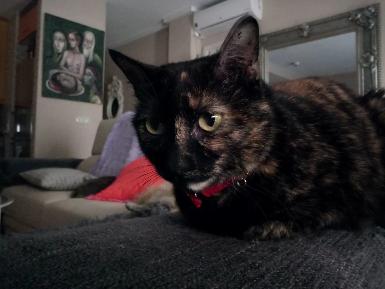 Foto de Muestras de cámara Alcatel A7 (17/22)