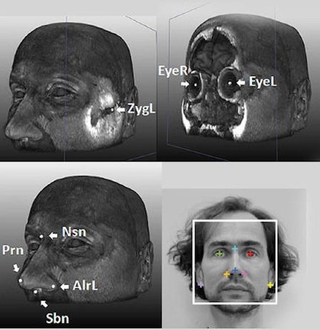 Mapa facial genético: cinco tipos de genes determinan la forma de tu cara
