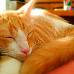 Foto 18 de 34 de la galería asus-zenfone-ar en Xataka