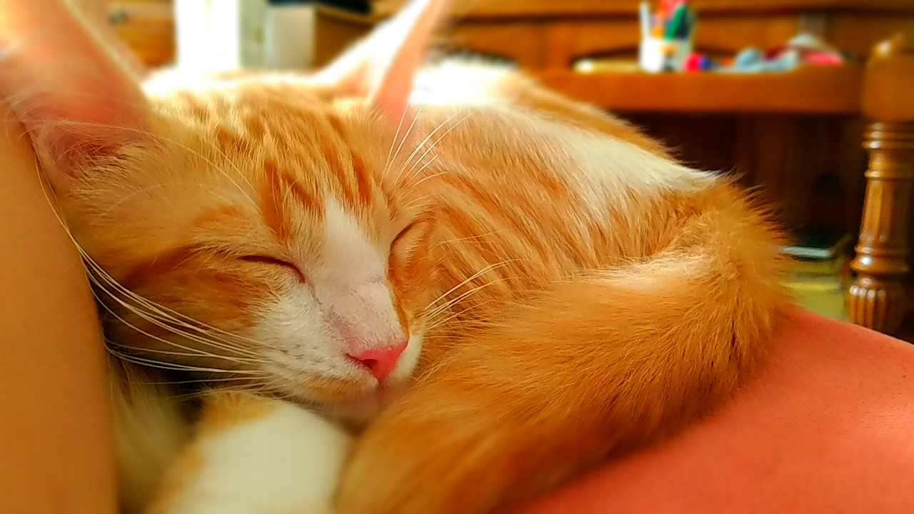 Foto de ASUS ZenFone AR (18/34)