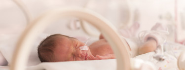 Cada vez más hospitales instalan cámaras en la UCI de neonatos para que los padres puedan ver a sus bebés