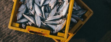 Estos son los pescados con más mercurio, y los menos recomendados para la dieta diaria 