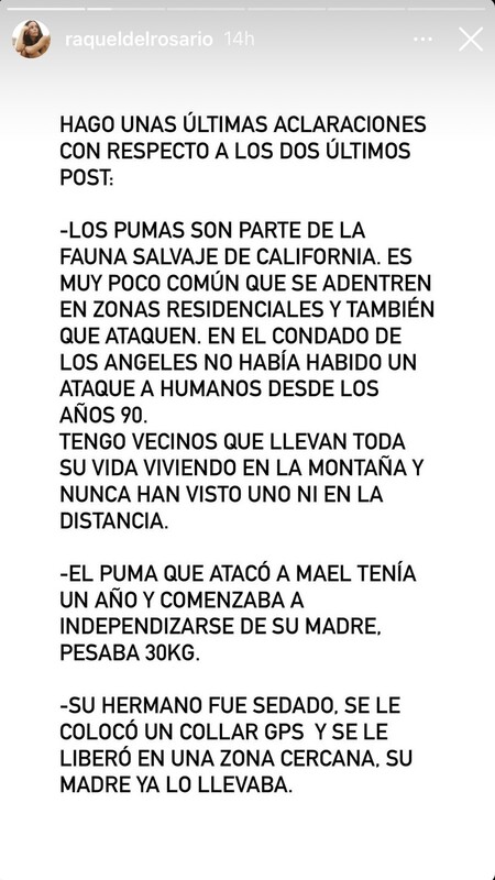 Raquel-Rosario-puma