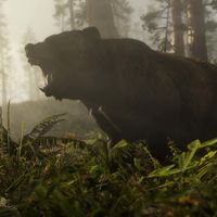 Este vídeo compara los comportamientos de los animales de Red Dead Redemption 2 con los de verdad y el resultado es increíble 