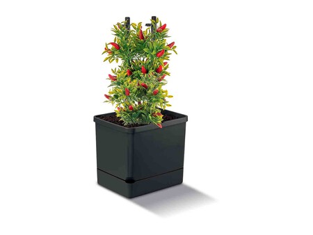 Torre Para Plantas Con Deposito De Agua Zoom 5