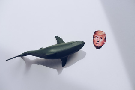 Las guerras comerciales Trump se recrudecen (y III)