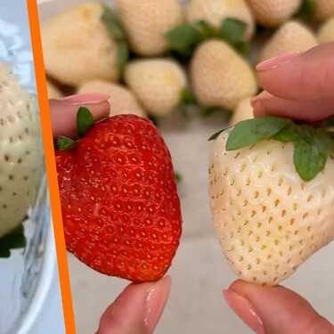 Fresas con sabor a piña: así son las pineberry, las fresas blancas que ya puedes encontrar en México