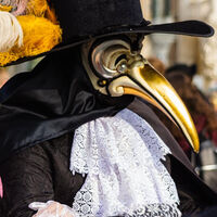 Creíamos que las máscaras con pico de pájaro te salvaban de la peste. Un descubrimiento arqueológico ha demostrado que la clave era la desigualdad