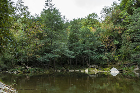 Tres relajantes propuestas de turismo de naturaleza en Cataluña