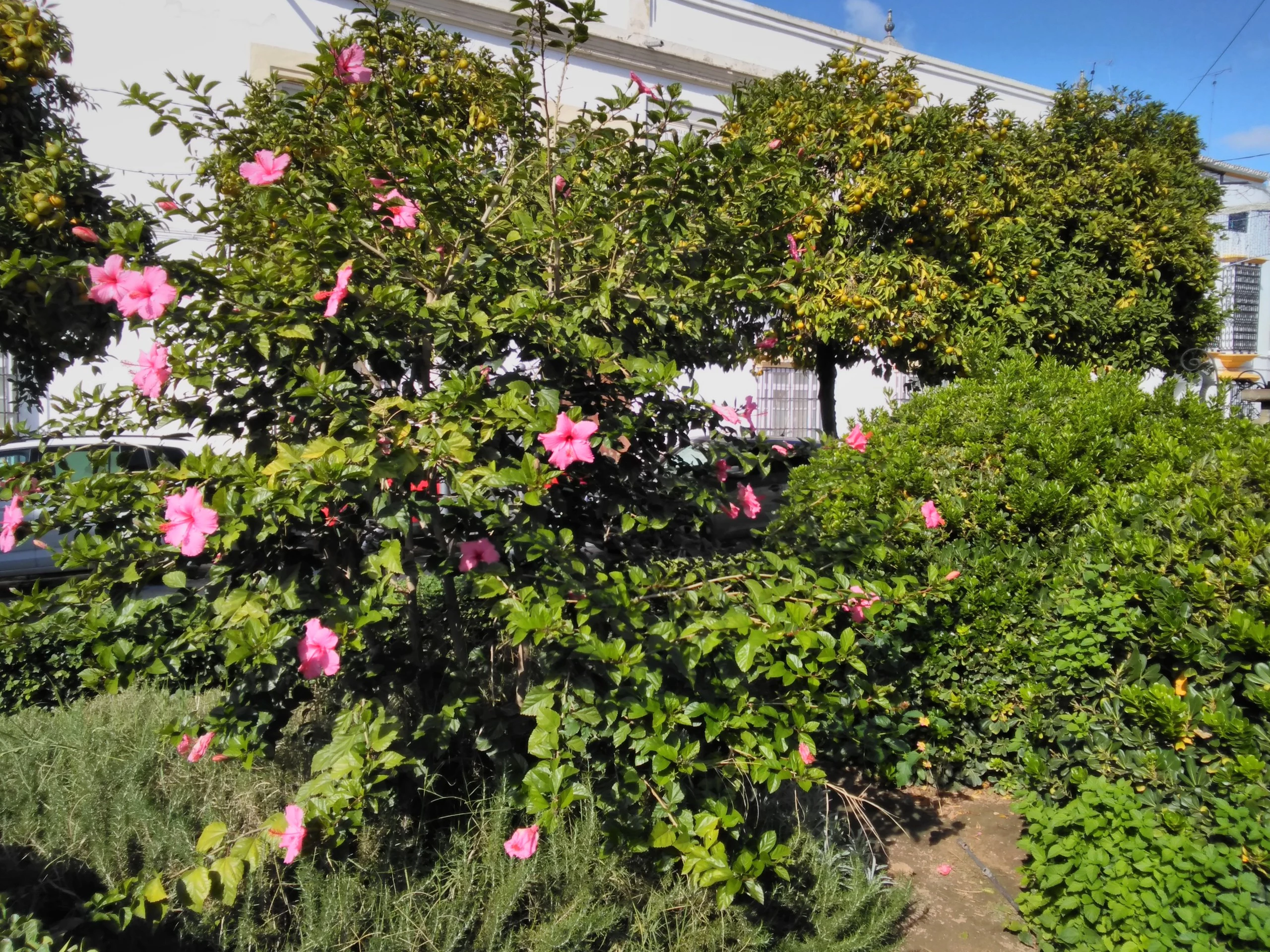 Foto de Fotos tomadas con el Nokia 2.1 (32/39)