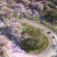 Uno de los juegos más potentes de Xbox para 2026 empieza a calentar motores y ahora Forza Horizon 6 quiere animarte a recorrer Japón con 10 novedades clave 