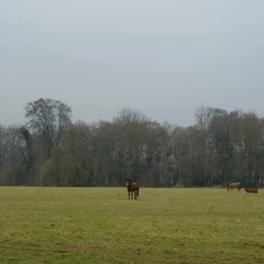 Foto 8 de 20 de la galería fujifilm-x-t2-12-fotos en Xataka Foto