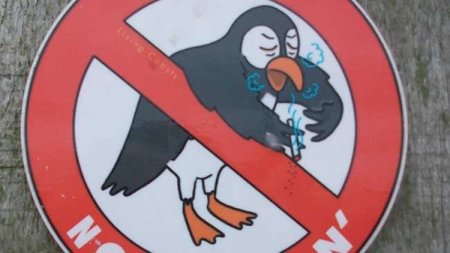 Daños causados por el tabaco en personas no fumadoras