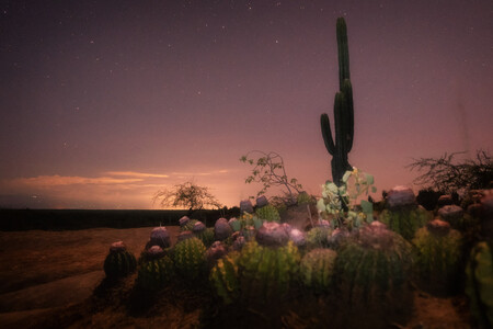 'Noche en el desierto de la Tatacoa': cómo realizar una imagen ganadora de premios desde la visión de una ganadora nacional de los WPA